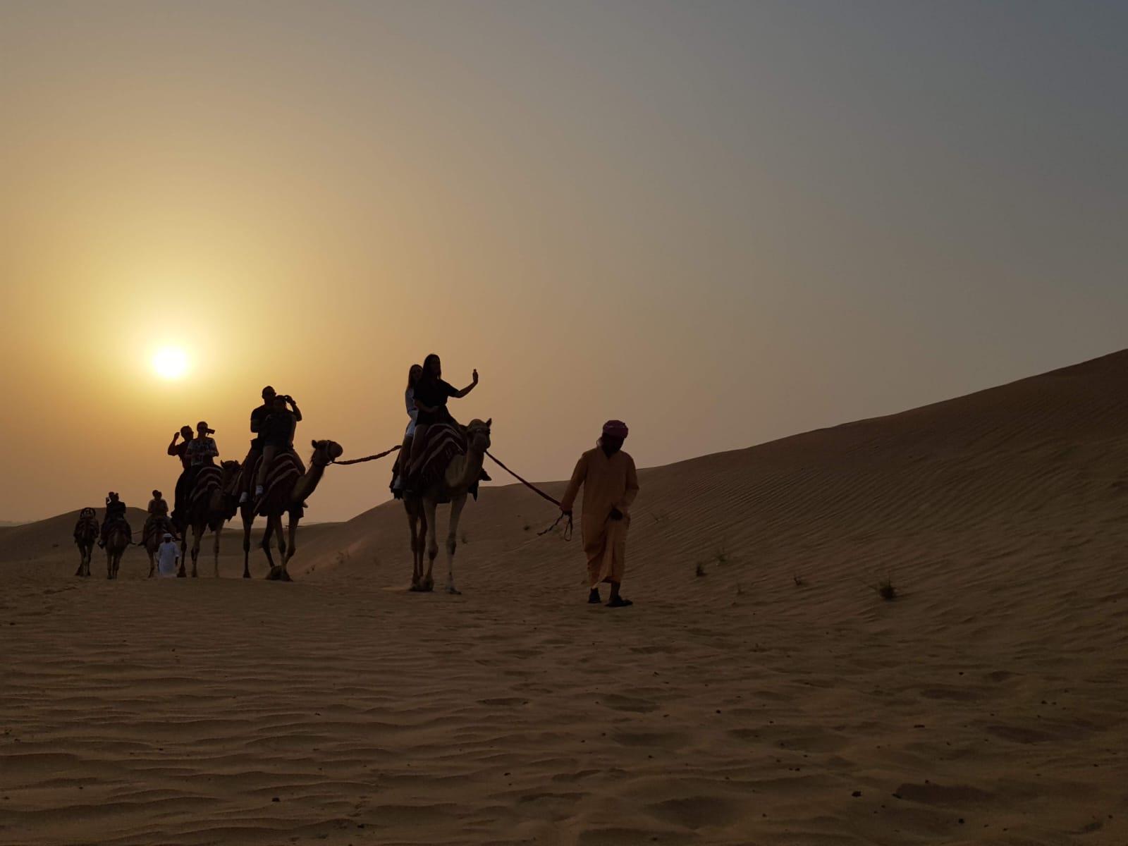 Desert safari sunset views
